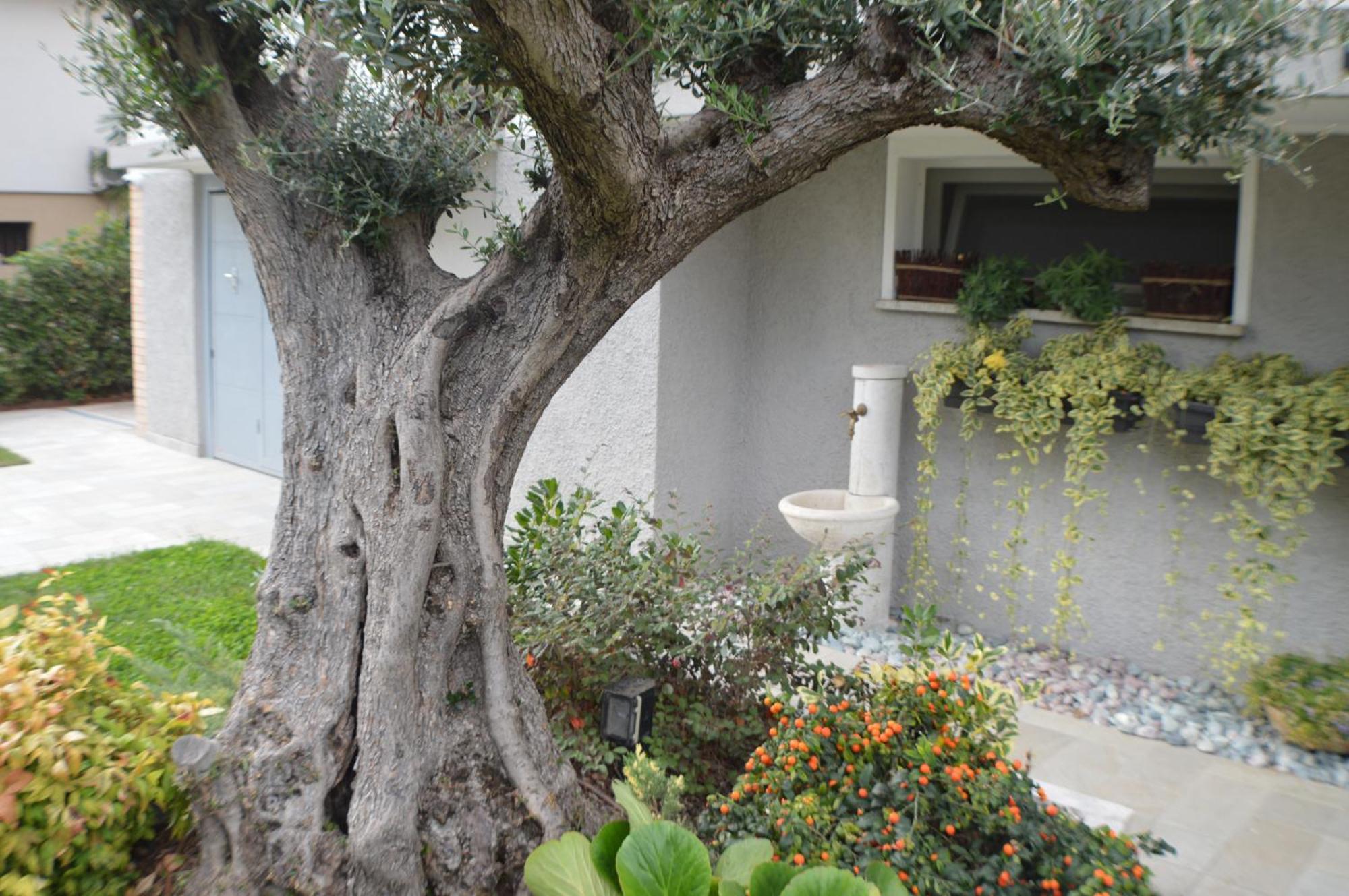 Villa Ca' Olivo Mogliano Veneto Exterior foto